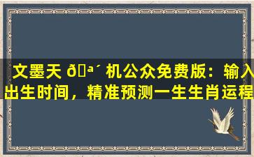 文墨天 🪴 机公众免费版：输入出生时间，精准预测一生生肖运程！